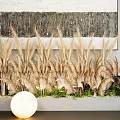Pampas Grass and Green Plant Combination with Wall Art Concrete Planter and Moon Shaped Light