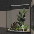 Indoor Landscape With Large Leafy Green Plants Small Foliage And Modern Interior Decor