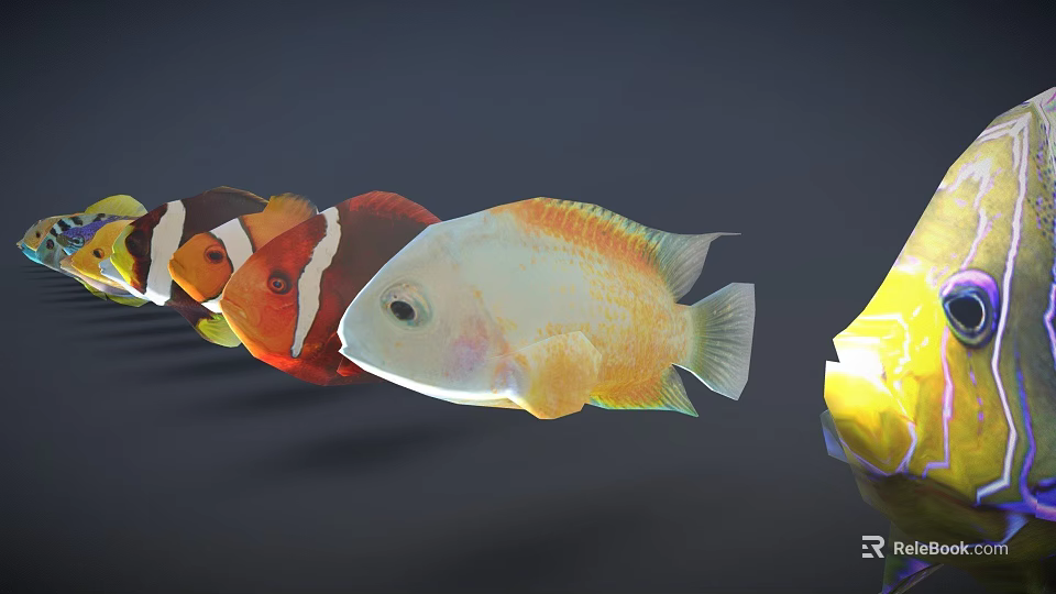 Vibrant Animated Fish Characters Including Clownfish And Yellow White Varieties For Games And Films 3d model 