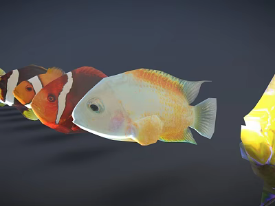 Vibrant Animated Fish Characters Including Clownfish And Yellow White Varieties For Games And Films 3d model