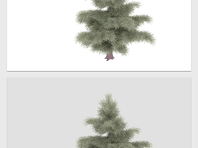 Tall Evergreen Arbor With Lush Green Foliage In Natural Setting 3d model