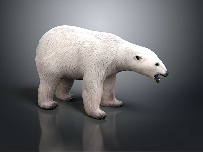 Realistic 3D Polar Bear Model With White Fur Standing Pose And Detailed Rendering 3d model