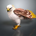 Detailed White Headed Eagle Standing With Brown Wings Yellow Tail Feathers And Claws