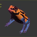 Vibrant Orange Black and Blue Patterned Frog with Colorful Body and Blue Legs