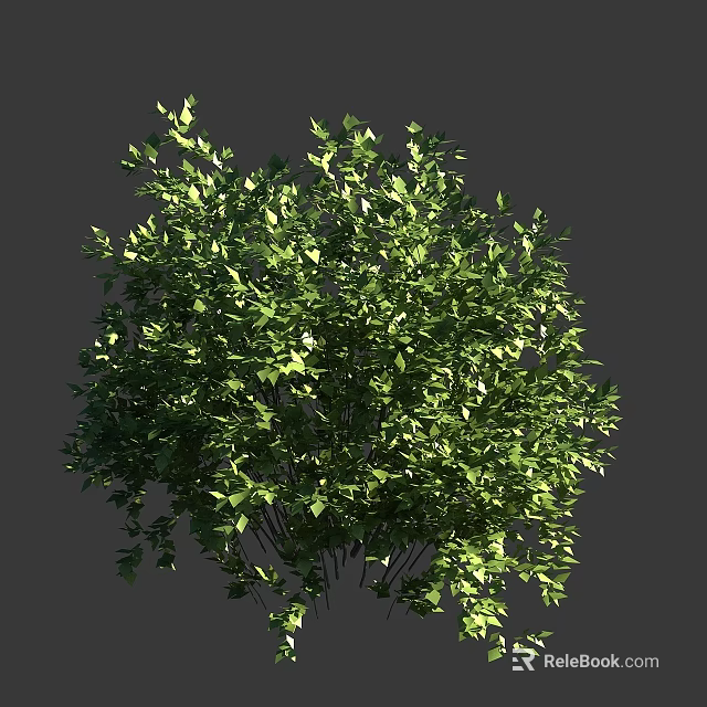 Lush Green Bush with Dense Vibrant Leaves in Outdoor Garden Setting 3d model 