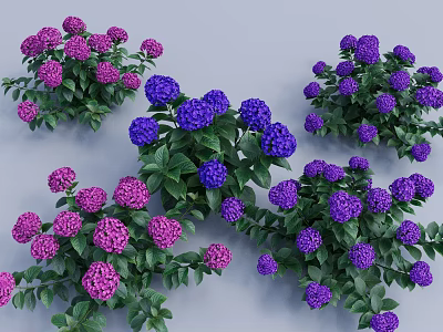 Vibrant Purple and Pink Flowering Shrubs with Lush Green Leaves in Garden 3d model
