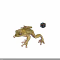 Green Frog With Stretched Legs And Colorful Rubik's Cube On Gray Background