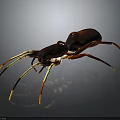 Detailed Reddish Brown Spider Featuring Yellow Striped Legs On Dark Background