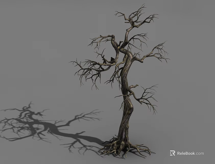 Dry Tree With Twisted Trunk Exposed Roots Bare Branches Casting Long Shadow On Gray Background 3d model 