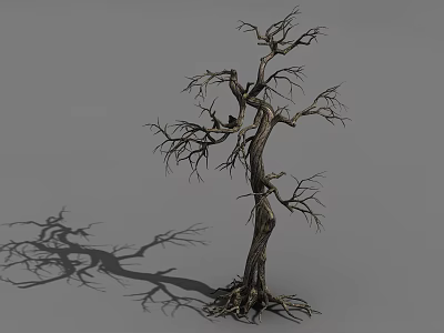 Dry Tree With Twisted Trunk Exposed Roots Bare Branches Casting Long Shadow On Gray Background 3d model
