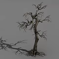 Dry Tree With Twisted Trunk Exposed Roots Bare Branches Casting Long Shadow On Gray Background 3d model