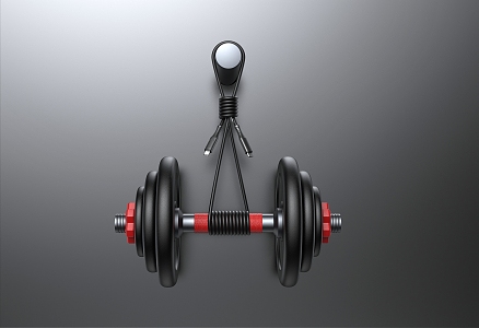 Modern dumbbell bundled load-bearing data cable USB e-commerce scene 3d model