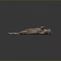 Relaxed Fluffy Orange Cat Lying Comfortably on Gray Background Surface