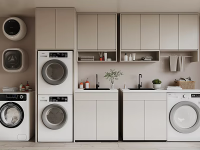 Modern Laundry Cabinetry Featuring Washing Machines Countertop Faucet Storage And Plants 3d model