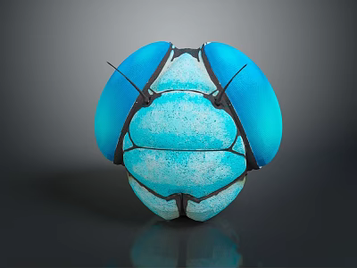Glossy Blue Metallic Beetle Close Up View With Symmetrical Segmented Carapace 3d model