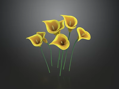 Stunning Yellow Calla Lilies Cluster with Green Stems on Dark Backdrop 3d model