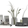 Decorative Ornament Set With Books Glass Vase Dried Plants Ceramic Cups And Tray