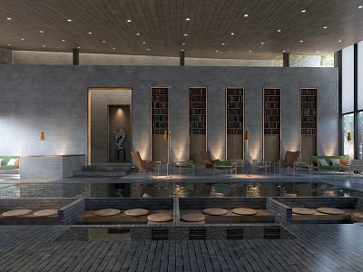 Modern Leisure Area Interior With Pool Seats Decorative Shelves And Stone Flooring 3d model