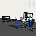 Home Gym Fitness Equipment With Dumbbells Weight Plates Kettlebells Exercise Balls Yoga Mat And Shelves