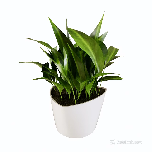 Lush Green Leafy Potted Plant In White Modern Pot For Indoor Decoration With Healthy Foliage 3d model 