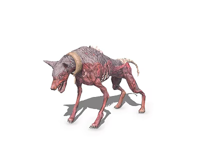 Scary Mutant Wolf 3D Model As Fictional Creature With Exposed Bones 3d model