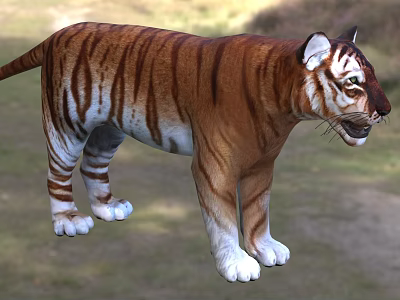 Striped Reptile Standing On Natural Grassland Habitat Scene 3d model