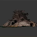 Detailed Rocky Terrain Model With Layered Earth Vegetation And Green Water