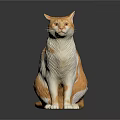 Orange and White Cat Sitting on Black Background with 3D Model Design