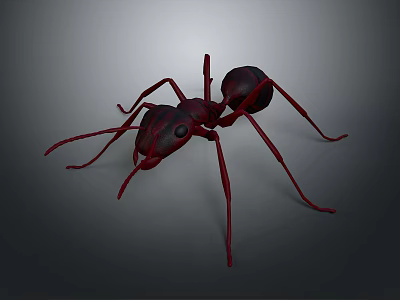 Realistic Red Ant 3D Model Rendering on Black Background with Detailed Legs 3d model
