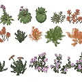 Various Decorative Succulents Purple Flowering Plants With Green Leaves Pink Blooms For Home Decor