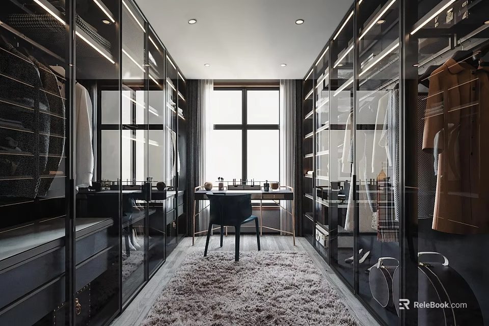 Modern Walk in Closet With Glass Wardrobes Large Window And Fluffy Rug 3d model 