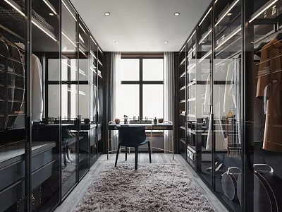 Modern Walk in Closet With Glass Wardrobes Large Window And Fluffy Rug 3d model