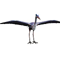 Great Blue Heron with Spread Wings Long Legs and Sharp Beak in Natural Stance 3d model