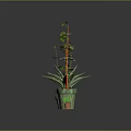 Various Types Of Green Plants In Different Size And Color Pots Against Gray Background