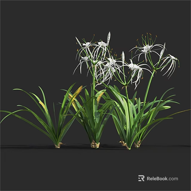 Stunning White Ornamental Flowers With Delicate Slender Petals And Fresh Green Leaves 3d model 