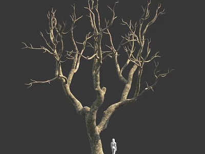 Tall Leafless Tree With Thick Trunk And Many Branches Near Small White Figure 3d model