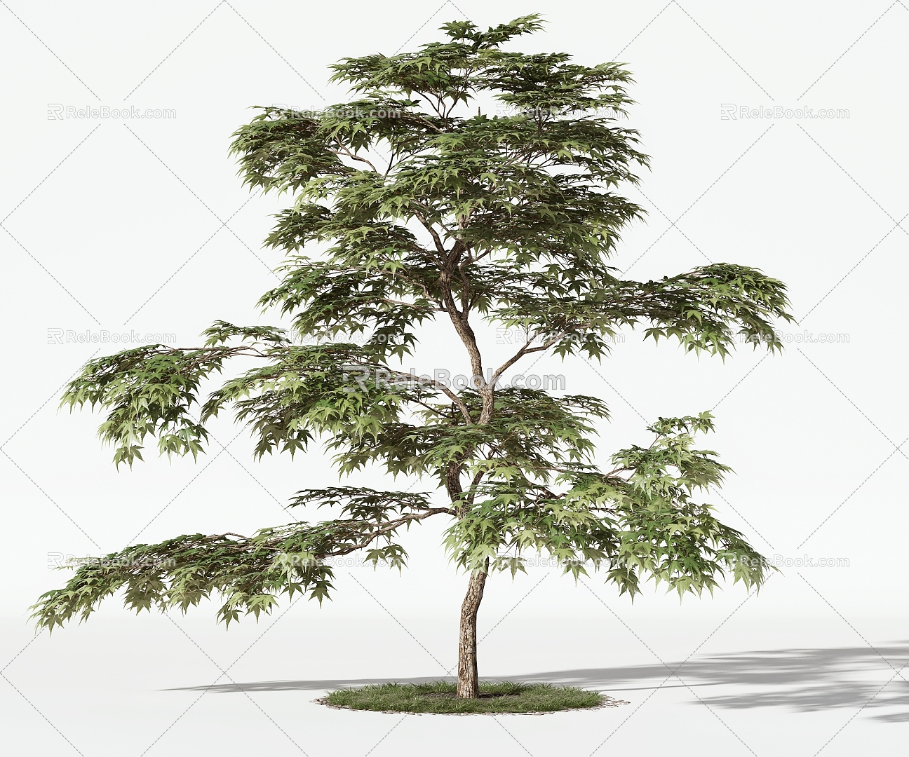 Trees Arbor 3d model