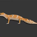 Orange Colored Gecko with Black Spots Standing on Dark Shiny Reflective Surface 3d model