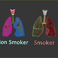 Smoking Effects on Oral Health Comparing Smoker and Non Smoker Teeth Condition