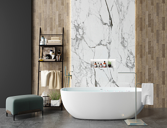 Modern Bathtub Bathroom 3d model