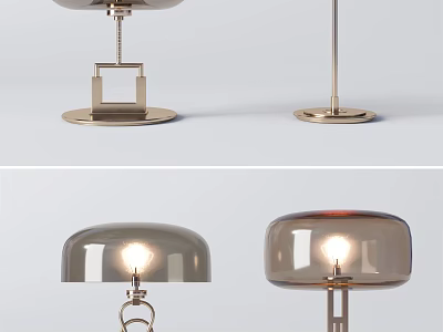 Modern Stylish Table Lamps With Glass Shades And Metal Bases Illuminated 3d model