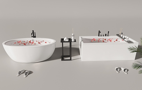 Modern Bathtub Combo 3d model