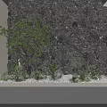 Natural Garden Accent With Gray Rock Wall Green Plants Small Tree And White Pebbles