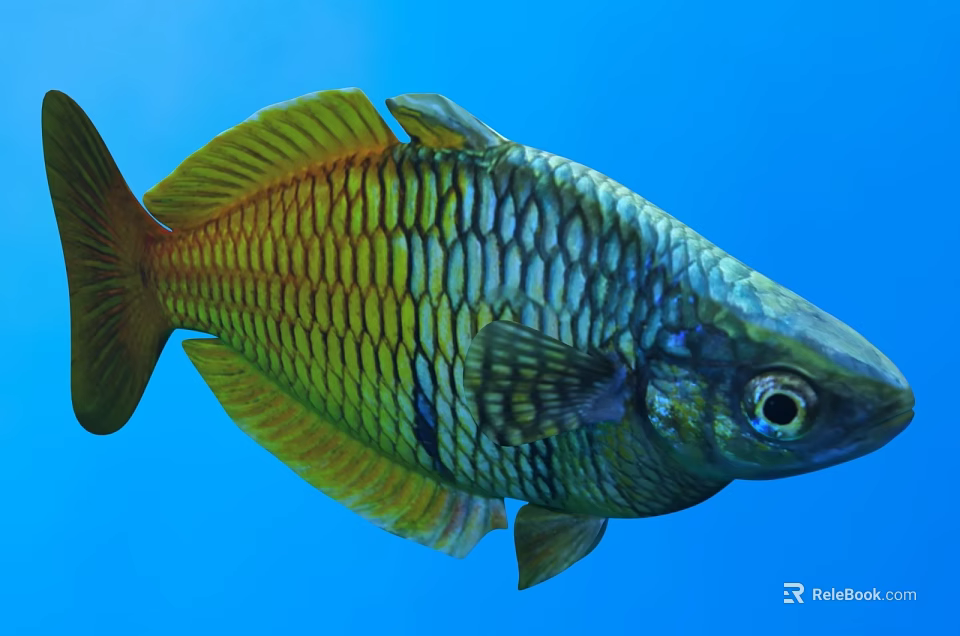 Colorful Aquatic Fish With Iridescent Scales Showcasing Vibrant Appearance Swimming In Blue Water 3d model 