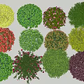 Various Colors Different Types Round Bushes Beautifully Arranged On Green Grass