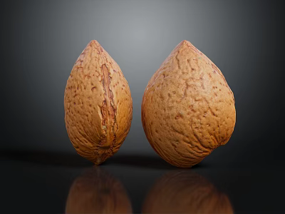 Two Brown Almonds With Textured Surface On Black Background And Reflection 3d model