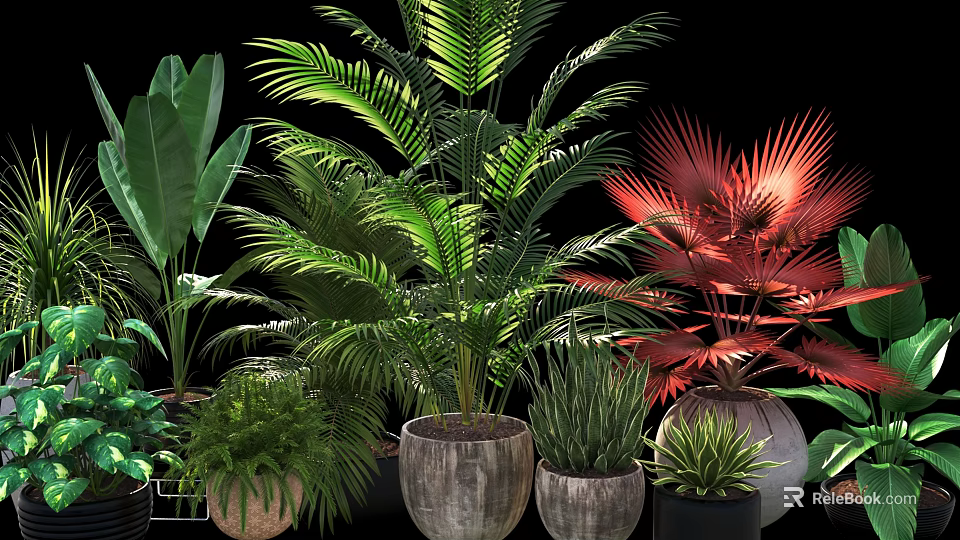 Beautiful Potted Plants With Various Green Red Leaf Plants And Ceramic Metal Pots 3d model 