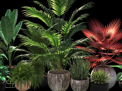 Beautiful Potted Plants With Various Green Red Leaf Plants And Ceramic Metal Pots 3d model