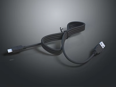 Black Coiled Durable Data Cable With USB Connectors For High Speed Device Charging And Syncing 3d model