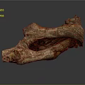 Natural Wood And Stone Sculpture With Organic Texture And Artistic Shape